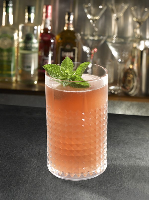 cocktail virgin watermelon avec menthe
