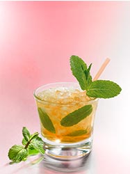 cocktail Mint Julep
