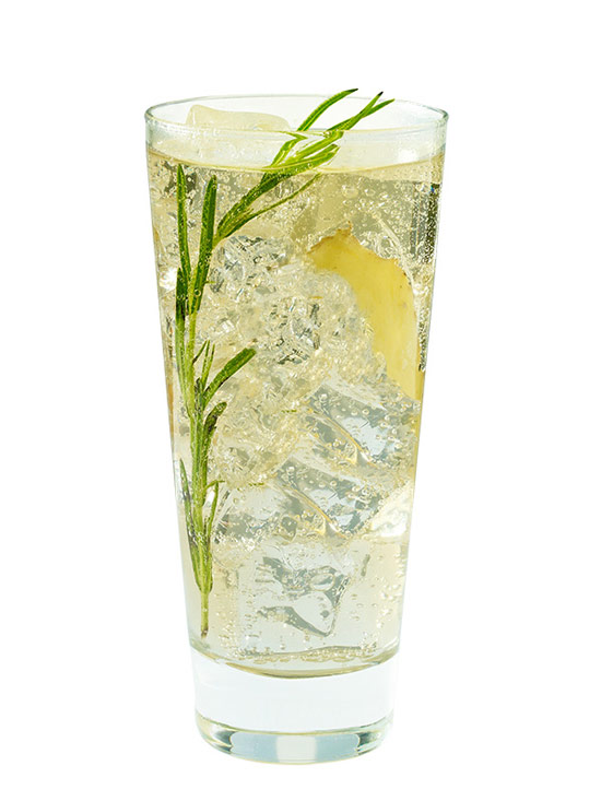 cocktail rosemary verre long drink citron gingembre
