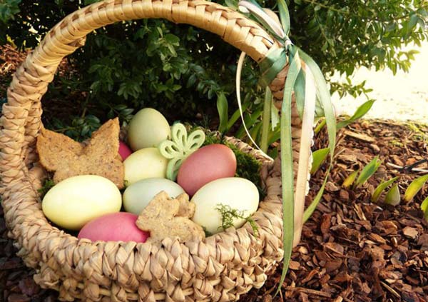 fête Pâques œufs panier jardin