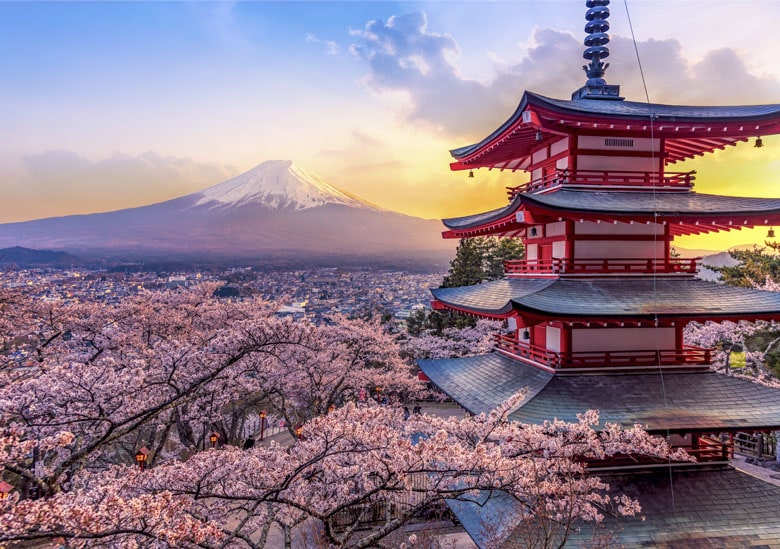 Voyage Japon avec temple et arbres fleuris