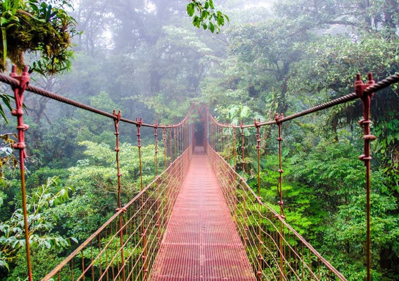 Voyage costa rica pont forêt
