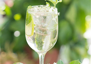 Cocktail Hugo au Prosecco et fleur de sureau 