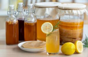 cocktails à base de Kombucha dans un verre long drink entouré de bocaux et de bouteilles de Kombucha avec du citron