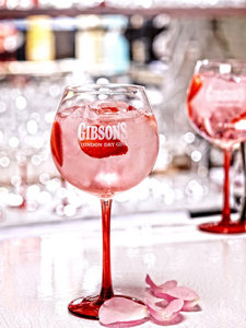 cocktail gin pink tonic