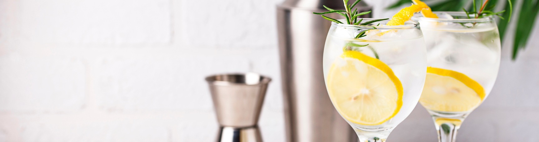 cocktails à base de gin
