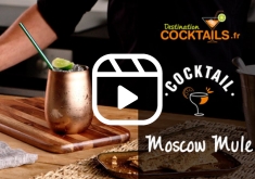 cocktail à la vodka et à la ginger beer
