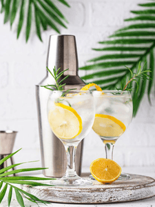 cocktail gin tonic yuzu avec du gin et du tonic, servi dans un verre décoré avec une branche de romain et une rondelle de citron