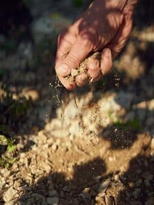 Terre où est cultivée le cepage de la Clairette de Die de la Maison Jaillance