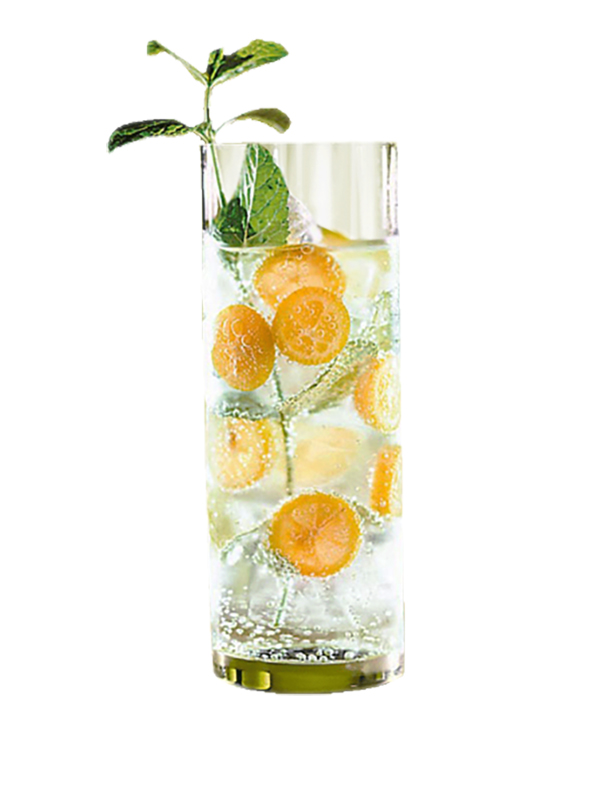 Gin Fizz, recette cocktail Gin Fizz Destination Cocktails